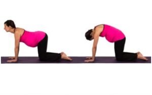 Important Asana or Poses for Pregnant Females