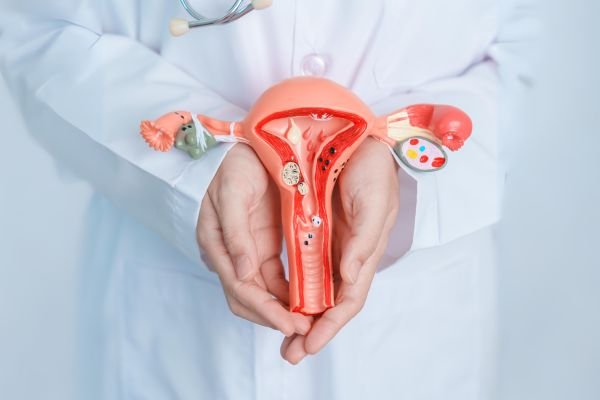 Various sizes of fibroid clusters - understand the diversity of uterine fibroids